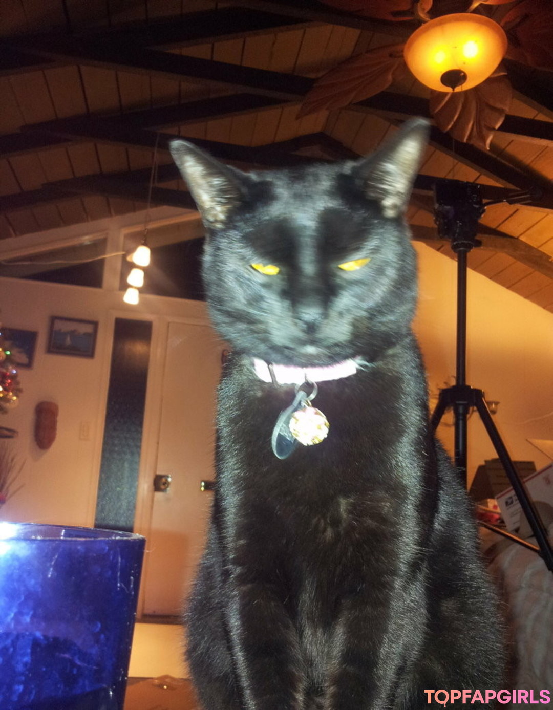 Foto desnuda filtrada de OnlyFans de Kateelife #193