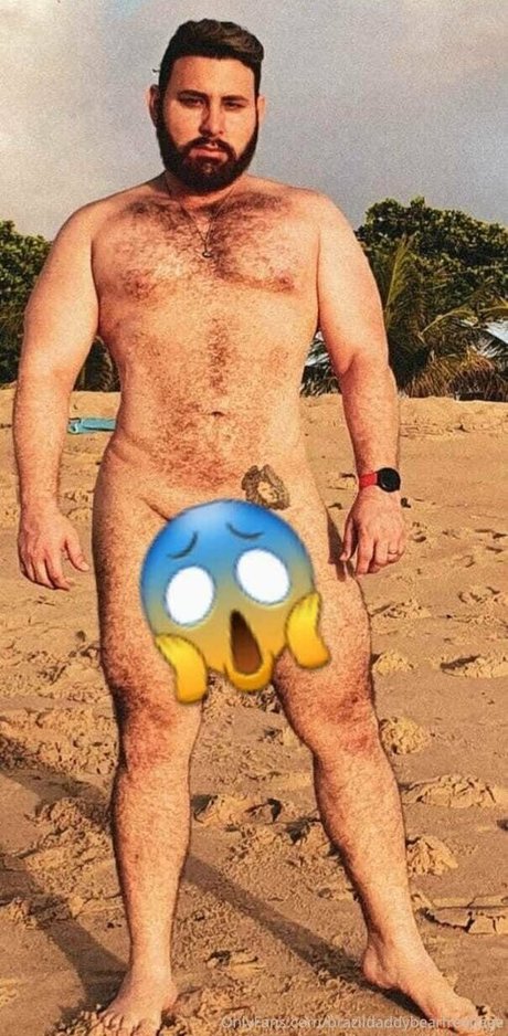 Brazildaddybearfreepage