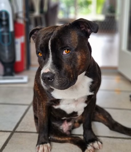 Christina Goldielocks