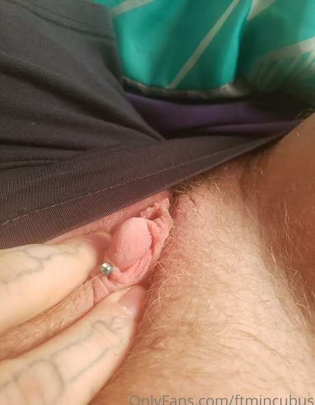 Ftmincubus