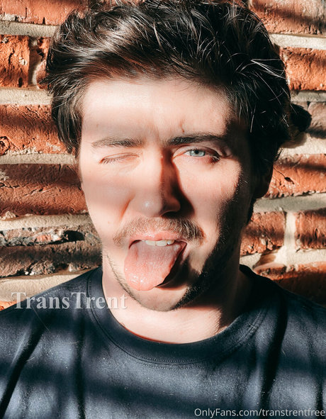 Transtrentfree