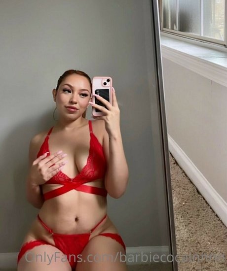 Barbiecocain100