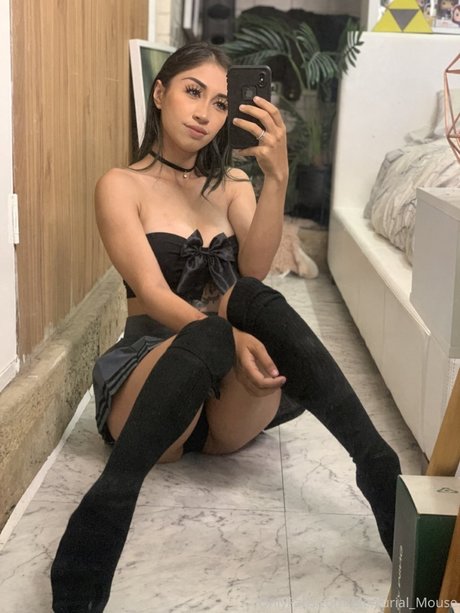 Foto desnuda filtrada de OnlyFans de Mercurial Mouse
