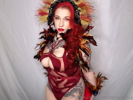 Yourscarletharlotxxx