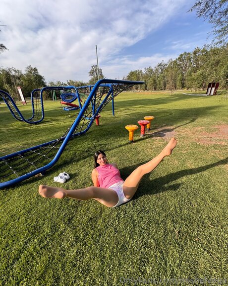 Mishelvega