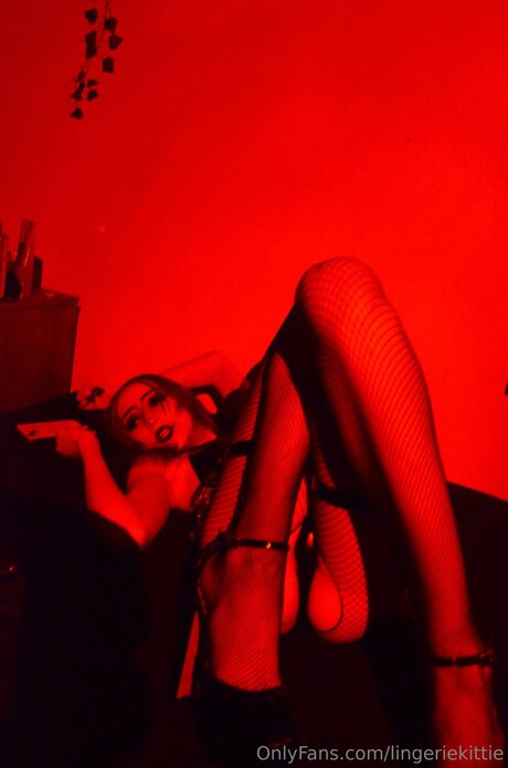 Lingeriekittie