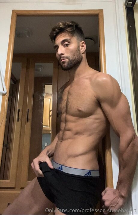 Professor Stonehaven