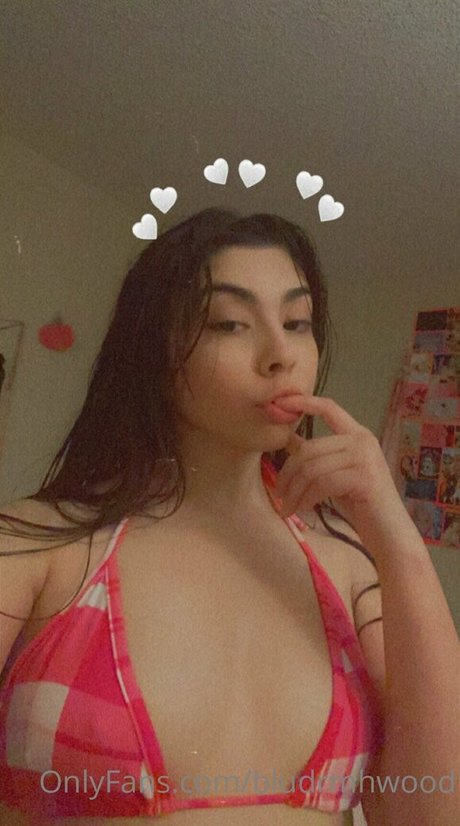 Blue Dream Hollywood