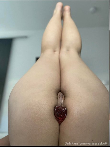 Vanessasbuttt