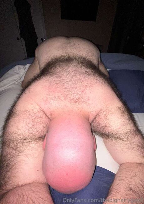 Thebighairyguy2