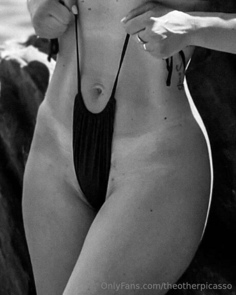 Theotherpicasso