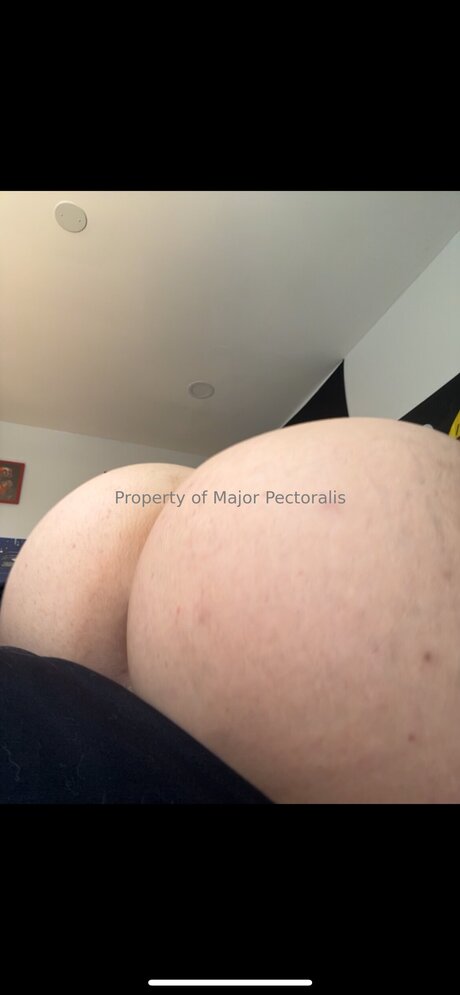 Majorpectoralis