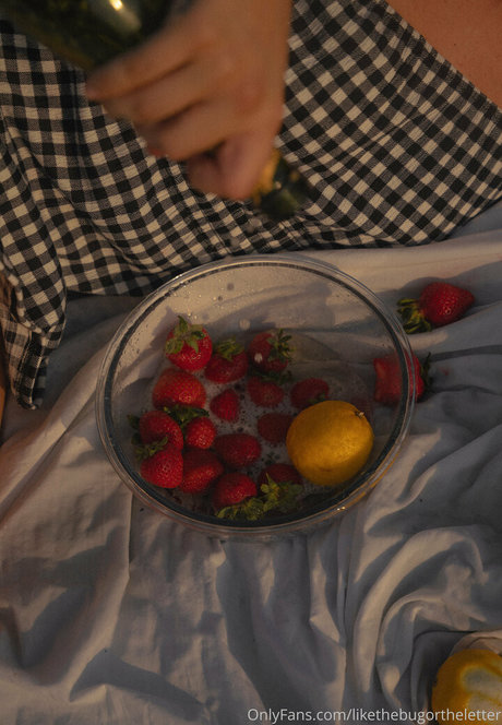 Likethebugortheletter