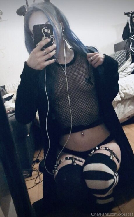 AwesomeTeaCat