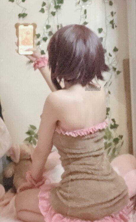 Elfinlei
