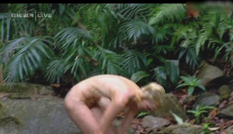 Ich Bin Ein Star  Holt Mich Hier Raus