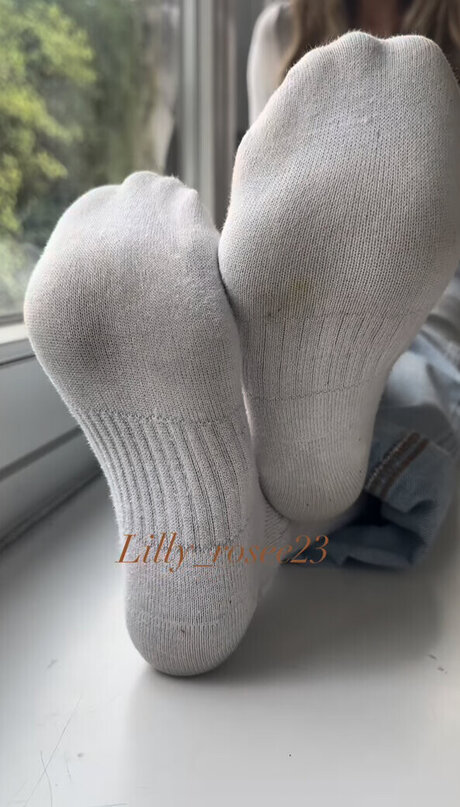 Lillyrosee23