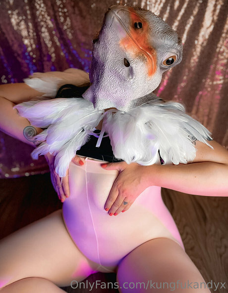 Kungfukandyx