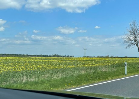 Quin.night.afterdark