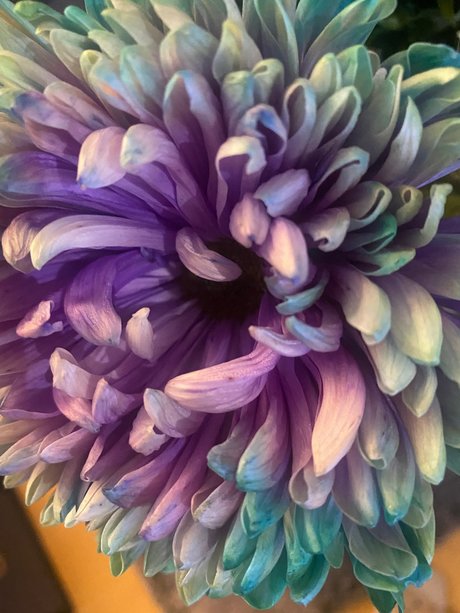 Foto desnuda filtrada de OnlyFans de Sternfe