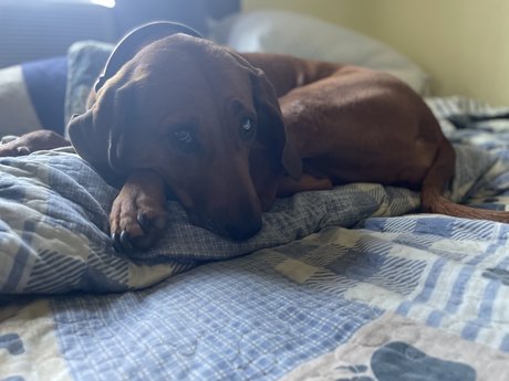 Foto desnuda filtrada de OnlyFans de Hank Christy