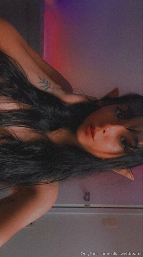 Sofiaswetdreams