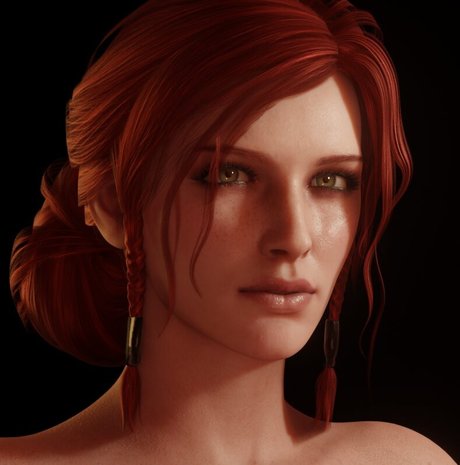 The Witcher
