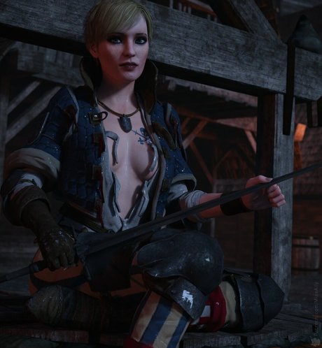The Witcher