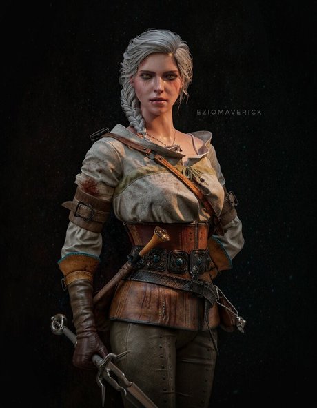 The Witcher