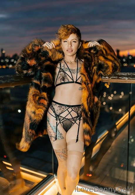 Thedannygoldexperience