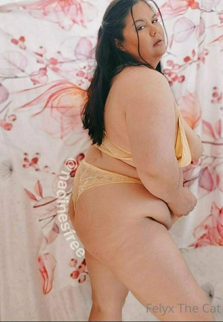 Felyxfree