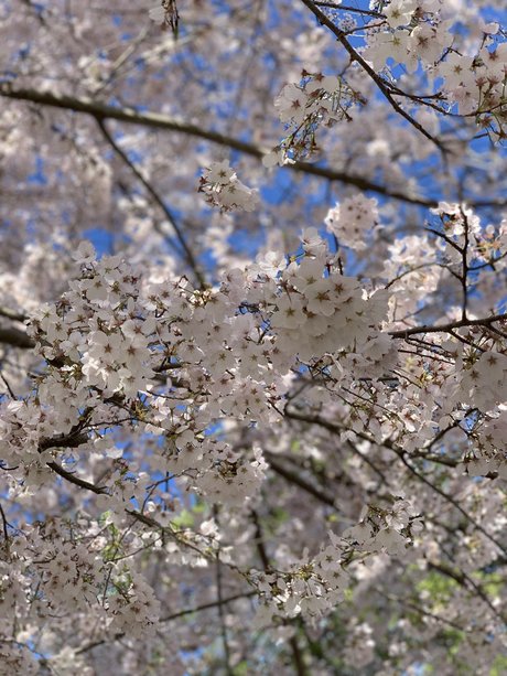 Foto desnuda filtrada de OnlyFans de Queen Feet