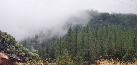 Foto desnuda filtrada de OnlyFans de Rosey Thorns