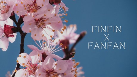 Foto desnuda filtrada de OnlyFans de Finfinxfanfan
