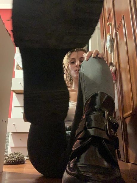 Stellixfindom