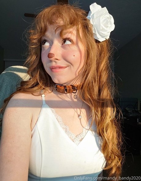 Mandyfrizzle