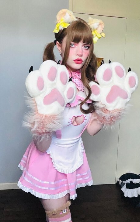 Thecutestkittycat