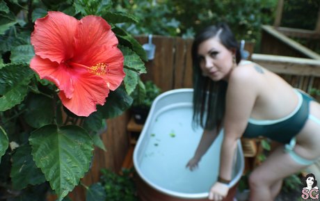 Mimi_Flowers_ MimiFlowersss