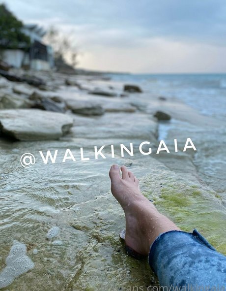 Walkingaia
