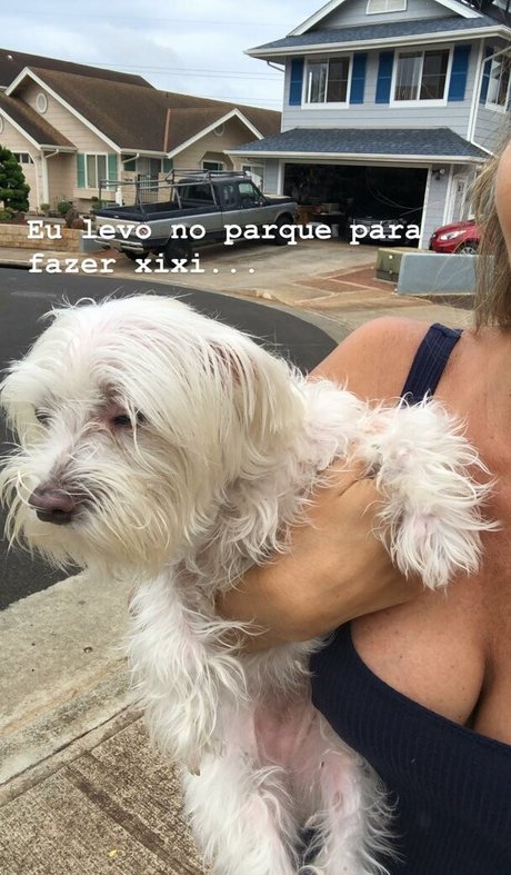 Dani Tamega