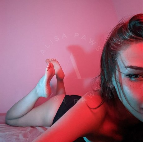 Alisa Paws