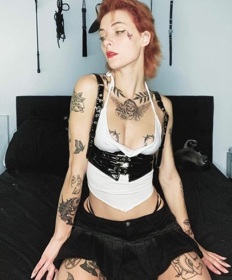 Avalon Valore