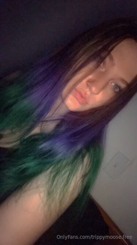 Trippymoose Free