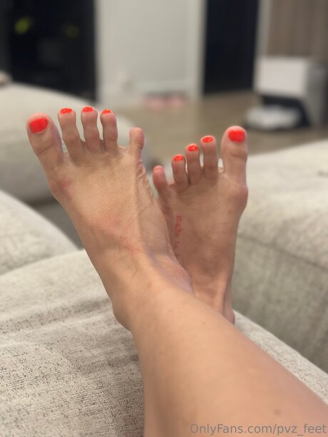 Pvz Feet