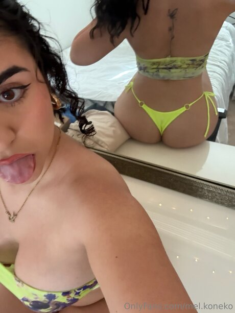 Mel Koneko