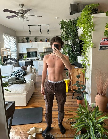 Joshtwink