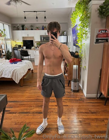 Joshtwink