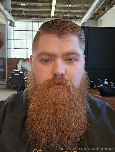 Avghammer