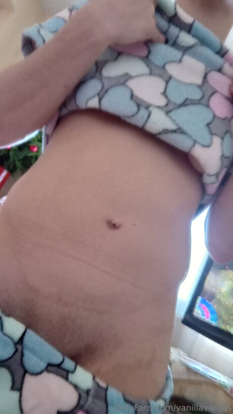 Vanillavargas