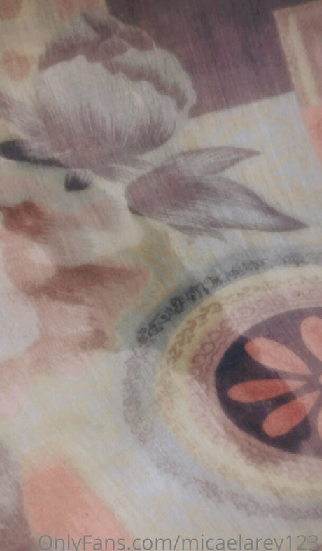Micaelarey123